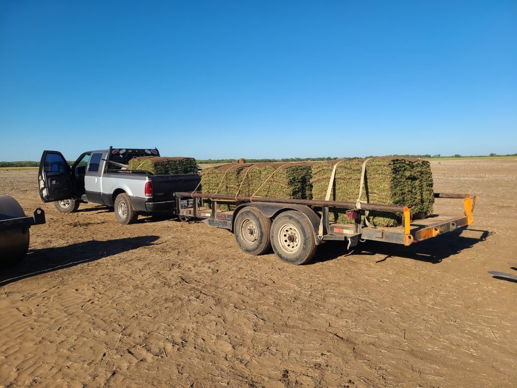 new sod grass san antonio