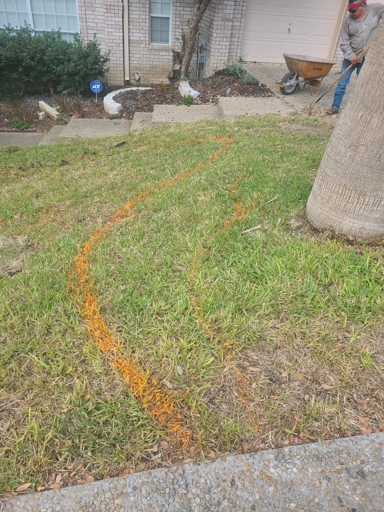 landscape job beginning in san antonio