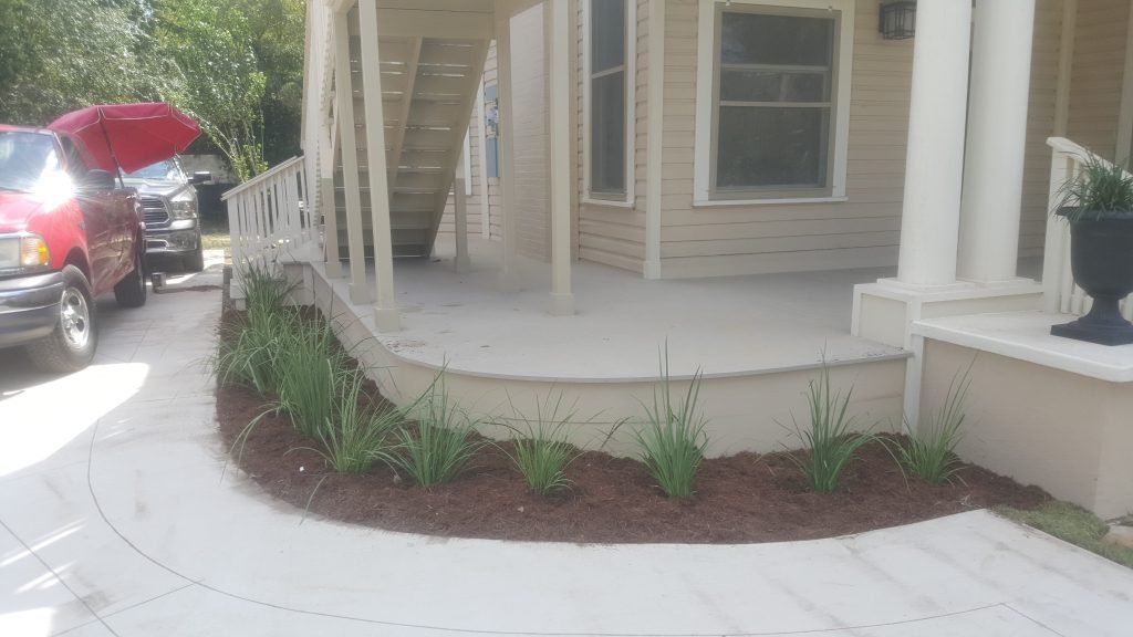 new plants landscape san antonio