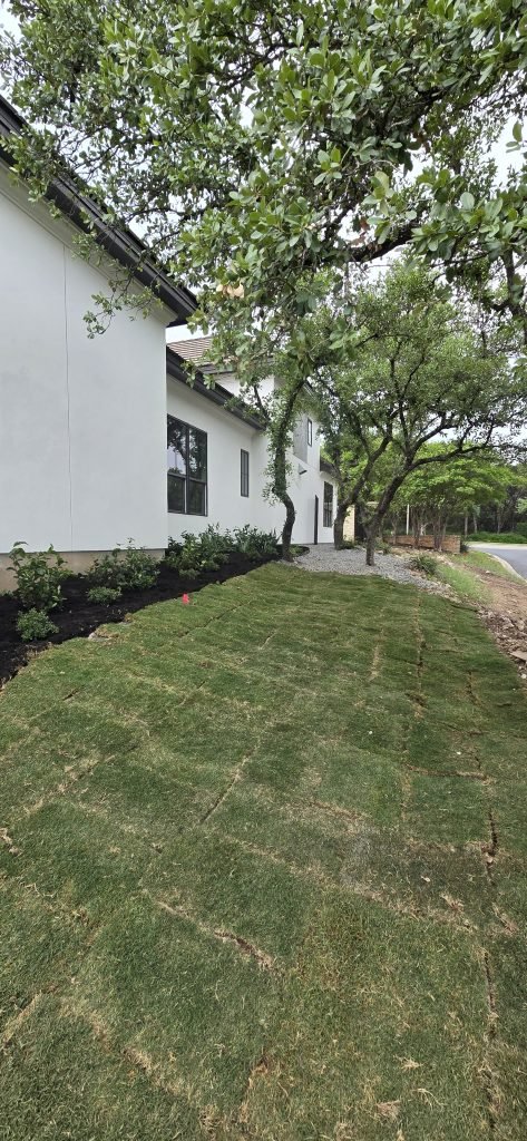 new sod residential san antonio