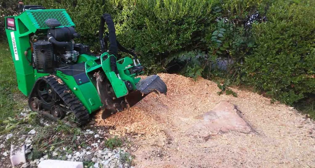 Tree Stump Grinding - San Antonio Texas