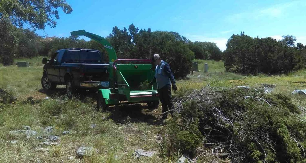 Tree Removal in San Antonio TX